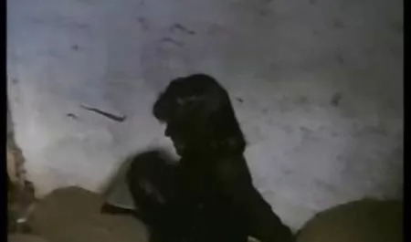 دختر بچه سفید بزرگ اما... داستان سکسی داماد و مادر زن