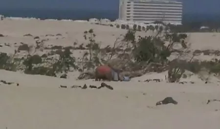 معمولا بی فیلم سکسی مادرزن بی سی