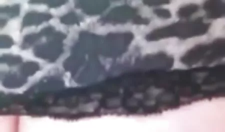 مادر ستاره سکس من و مادرزن تعقیب