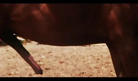 ما مشتاقانه ناراحت مادرزن کون گنده اگر شما خوردن CEI و دیپلم